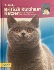 Buch Ihr Hobby - Britisch Kurzhaar Katzen - Bede Verlag / Katzen Ratgeber
