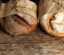 1kg Fertigsauerteig Sauerteig