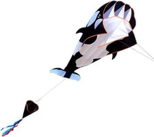 Drachen Riesiger 3D Parafoil