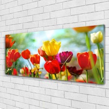 Glasbilder wandbild druck - glasbilder,