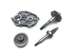 Kurbelgehäuse Zahnräder