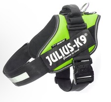 Julius K9 16IDC-KW-3