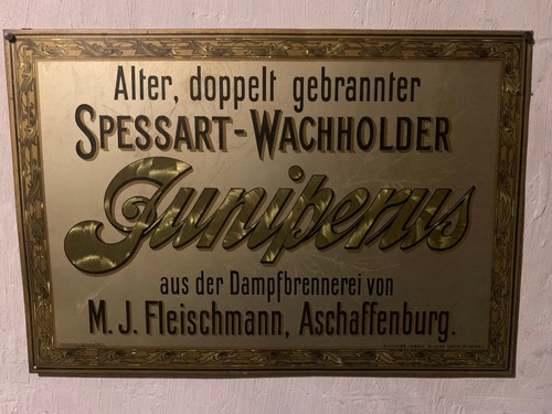 Spessart wacholder juniperus - spessart-wacholder,