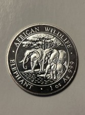 2013 Somalia Elefant Elephant