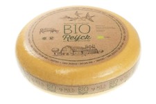 BIO Reijck Junger Gouda Cremig