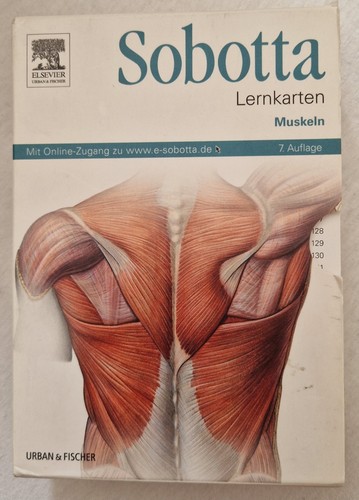 Sobotta lernkarten muskeln - muskeln, 6