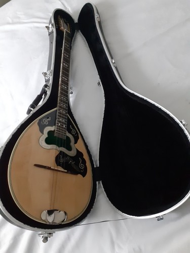 Griechischer bouzouki made - bouzouki, in