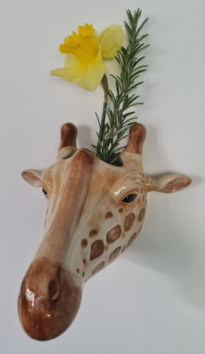 Vase wandhänger von quail - von,