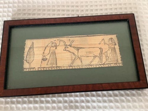 Original papyros 25 - original,