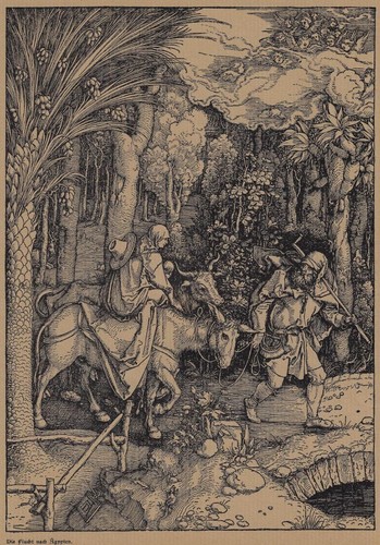 Albrecht dürer die flucht - dÜrer,,