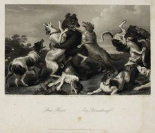 PAYNE (*1812) nach SNYDERS