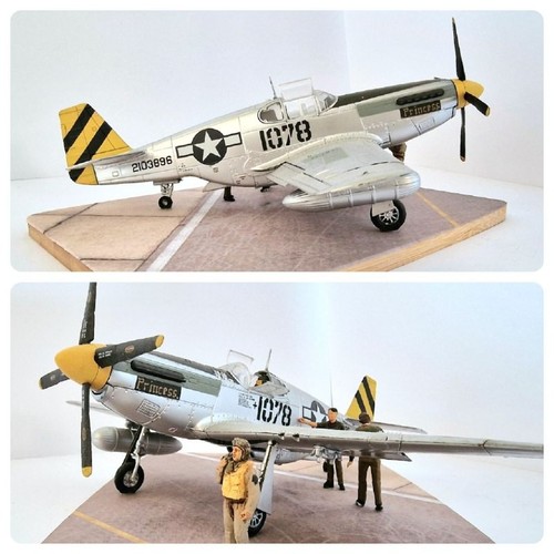 C mustang diorama - 1:48,