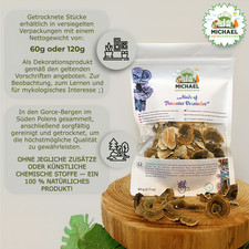 Schmetterlingstramete