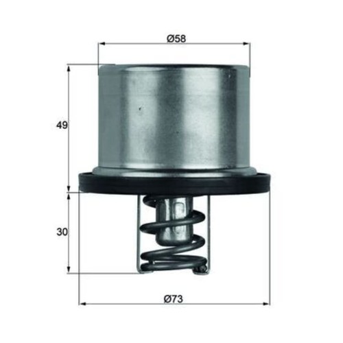 Thermostat kühlmittel mahle - thermostat,