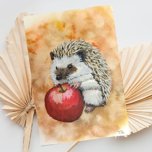 Original igel bild - original, mit