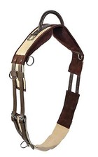  Busse Longiergurt mit Handgriff zum Longieren ohne Sattel MSh, Sh, P, VB/WB