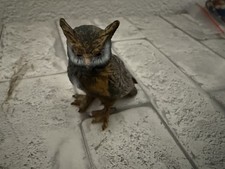 Schleich Wildtiere Waldtiere Eule Uhu Waldkautz