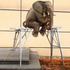 1.4M Leitergerüst Max 300 kg