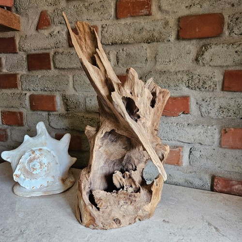 Teak wurzelholz skulptur - teak,