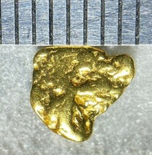 PURE GOLD NUGGET ALASKAN YUKON