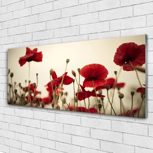 Tulup wandbilder glasbilder - tulup,