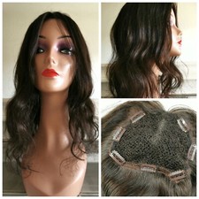 ✿ Fischnetzintegration