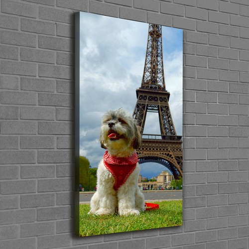 Leinwand bild kunstdruck - leinwand-bild,