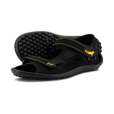 Leguano ATTREKKTIVE -