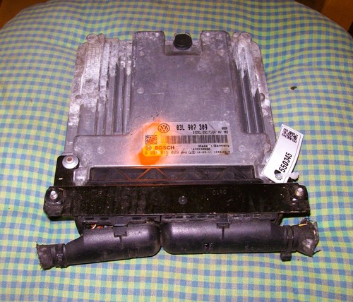 Steuergerät 03l907309 - steuergerät,