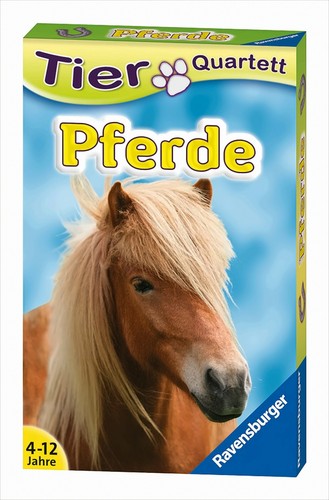 Pferde quartett - pferde,