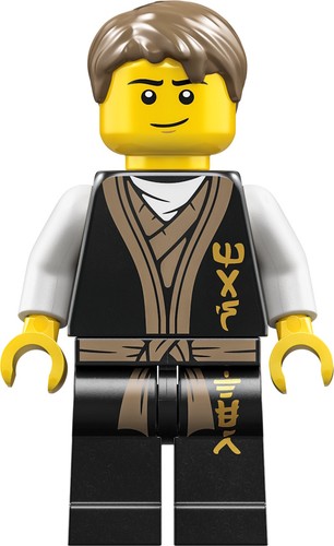Lego minifigs ninjago - ninjago,