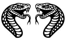 Schlangen links rechts - 2x, links/rechts