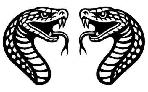 Schlangen links rechts - 2x,