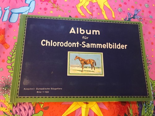Album für chlorodont - album,