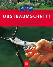 Obstbaumschnitt