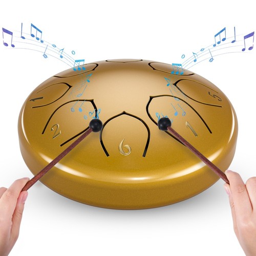 Stahlzungen trommel handpan - stahlzungen,