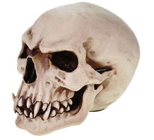 Replik Orc Schädel Markus