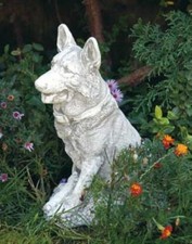 Hund Schäferhund (S487) Hunde
