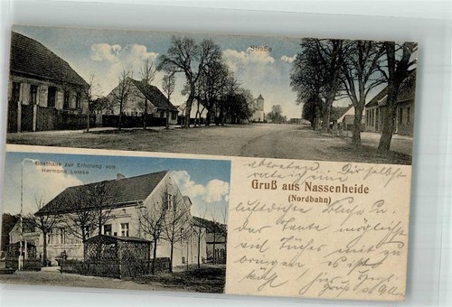 13664092 1431 nassenheide - 13664092,