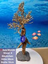 ⛩️ "ASIA MYSTIC WOOD" Aquarium Wurzel Bäumchen auf Schieferplatte