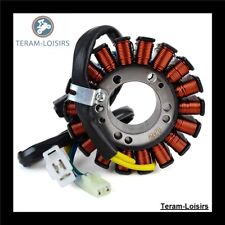 Stator Lichtmaschine für