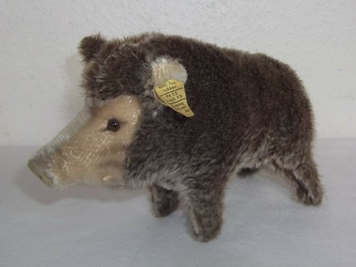 Schönes altes wildschwein von - altes,
