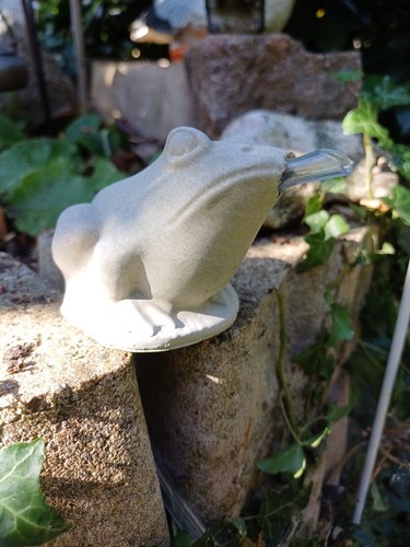 Frosch wasserspeier beton - frosch,
