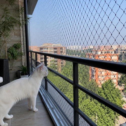 Balkon katzennetz transparent - balkon,
