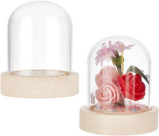 2 Sets Glaskuppel Mit