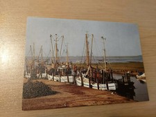 Postkarte Tümmlauer Koog