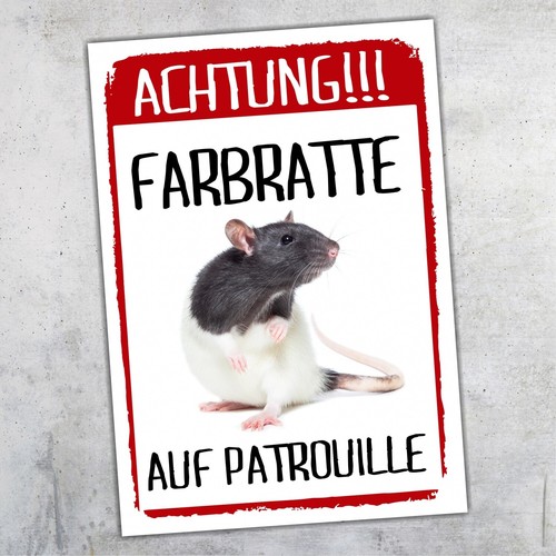 Achtung ratte auf patrouille - auf,