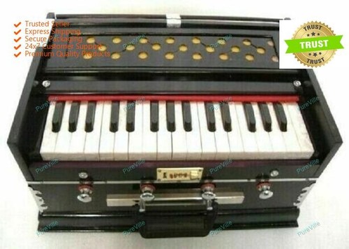 Indisches musikinstrument - indisches,