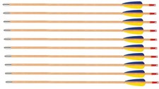 10 x Holzpfeile Pfeile mit