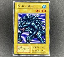 Yu-Gi-Oh! Wow Warrior - Series